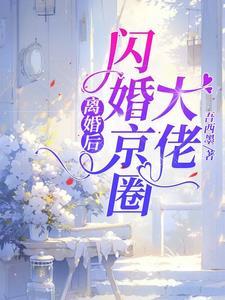 闪婚京圈大佬txt